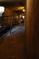 Florence 10